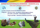afis_mic expo nationala 2014