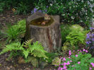 although-container-water-features-are-quite-small-they-still-need-to-800x600