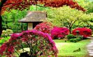 colorful-garden-decoration-idea