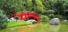 colorful-garden-decoration-idea-from-a-japanese-bridge