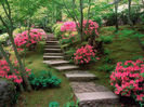 garden-wallpaper-16-photos-5