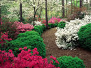 garden-wallpaper-16-photos-6