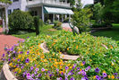 House-Flower-Garden-J012766