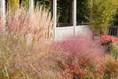Ornamental-Grasses-Garden-27116