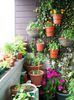 patio-garden-ideas-1200x1600_garden-with-various-plants-are-in-the-pot-and-there-are-also-plants-tha