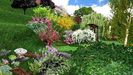 proiect-gradina-panta