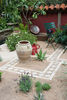 Water-Conservation-Garden-JAW4825