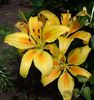 IMG_20140709_141340