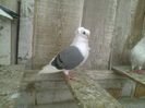 Imag 011719