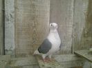 Imag 011722