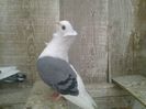 Imag 011724