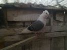Imag 011713