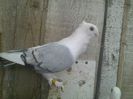 Imag 011726