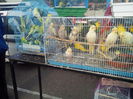 IMG_20141005_085022