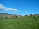 IMG_20140928_100922