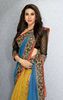 hot-diva-karisma-kapoor-stylist-pose-photo-shoot-saree