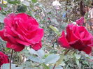 20141003_181333[1]
