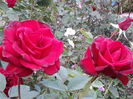 20141003_181338[1]
