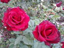 20141003_181351[1]