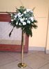 50 lei