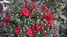 WP_20141006_17_49_51_Pro