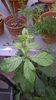 WP_20141006_17_50_47_Pro