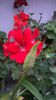 WP_20141006_17_51_22_Pro