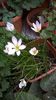 WP_20141006_17_51_35_Pro