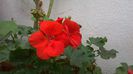 WP_20141006_17_51_42_Pro