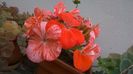 WP_20141006_17_52_05_Pro
