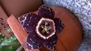 WP_20141006_17_52_22_Pro