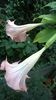 WP_20141006_17_53_19_Pro