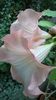 WP_20141006_17_53_36_Pro
