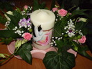 P5070579