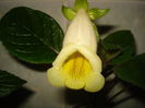 DSC09945