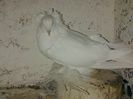 IMG-20140923-00846