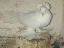 IMG-20140923-00847