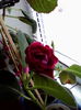 IMG_20141007_113033