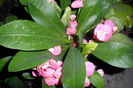 SAM_2472