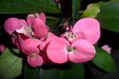 SAM_2473