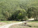 DSC02336