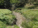 DSC02339