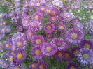 20140930_175929