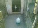 Imag 011821