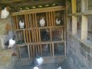 Imag 011822