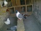 Imag 011824