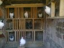 Imag 011826