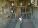 Imag 011828