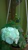 WP_20141006_17_54_05_Pro