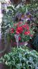 WP_20141008_12_03_12_Pro